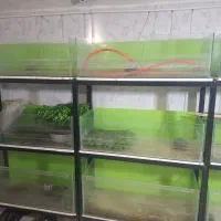 فروش مجموعه ۲۱ عدد آکواریوم پرورش ماهی
