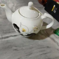 به عکس دومنگاکنیدقوری