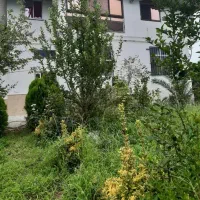 اجاره کوتاه مدت ویلای ساحلی کلاچای گلستان ۲|اجارهٔ کوتاه‌مدت ویلا و باغ|کلاچای, |دیوار