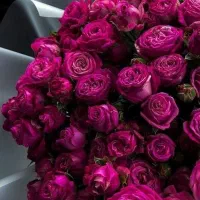 6سوت طلا هدیه بگیر