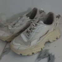 کفش نیم بوت و اسپورت و مجلسی|کیف، کفش، کمربند|مشهد, شهید علی محمدی|دیوار