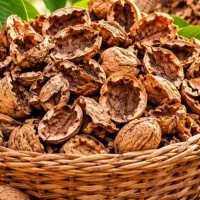 خریدار پوست گردو بصورت کیلوی وگونی شماره بزارید
