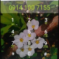 ۰۹۱۴۱۰۰۷۱۵۵