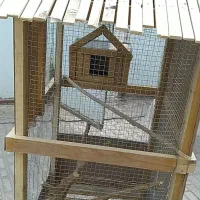 قفس .گنجه . لانه|لوازم جانبی حیوانات|سراوان, |دیوار