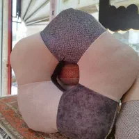 نشیمن دوناتی