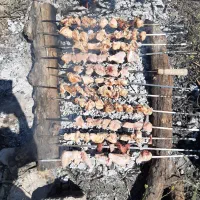 استخدام نیروی خانم جهت کار در شمس العماره