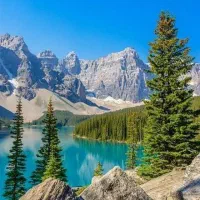 همفکری جانبازان