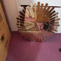 اینه خورشیدی