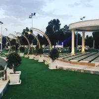 تصویر برداری مجالس فرمالیته رایگان