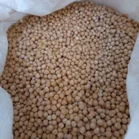 نخود|خوردنی و آشامیدنی|شیراز, شهدای شهرک سعدی|دیوار