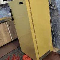 یخچال فریزر ایران پویا