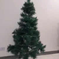 درخت کریسمس