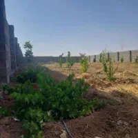 فروش باغ ۱۰۰۰ متری الیاس آباد