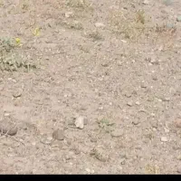 زمین-نور-شرقی