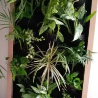 دیوار سبز گرین وال  هوشمند|خدمات پیشه و مهارت|تهران, شهرک کوهسار|دیوار