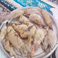 عسل طبیعی کنار بانخل اصل اصل