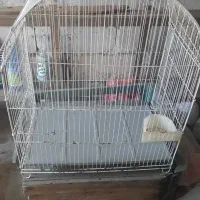 قفس پرنده