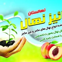 استخدام نیروی آقا وخانم نهالستان پاییزنهال