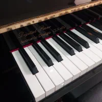 خرید وفروش پیانو و ارگ حتی سوخته ونیاز به تعمیر