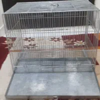 قفس پرنده محکم