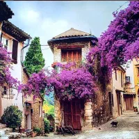 طراحی و چاپ روی پارچه در انواع سایز های مختلف