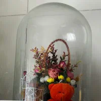 باکس فصلی خرسی