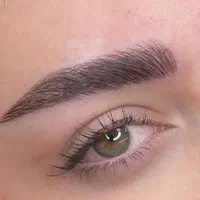 تتو ابرو، خط چشم، رژلب لب، فیبروز، شید لب|خدمات آرایشگری و زیبایی|شیراز, شهرک مهدی‌آباد|دیوار