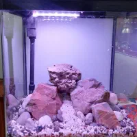 اکواریوم ماهیران