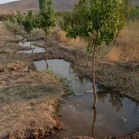 باغ-1700-متری-در-آبگرم