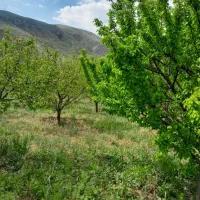 فروش زمین در تامین اجتماعی