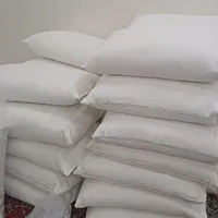 بالشت پر