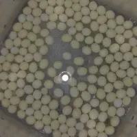 خاویار  حلزون