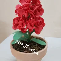 گل رز و شب بو مناسب عیدنوروز