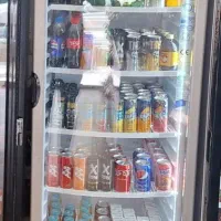 یخچال ایستاده ۶۰ سانتی کینو