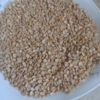 لتکه محلی نوکه رشه