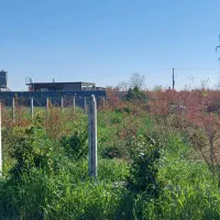 زمین زراعی (باغچه) ۲۵۰ متری قولنامه ای