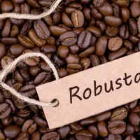 سامان کافیست