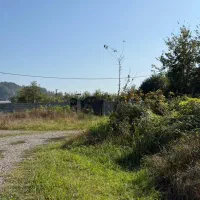 3هزار متری بهترین زمین برای باغ ویلا|فروش زمین و ملک کلنگی|لاهیجان, آهندان|دیوار