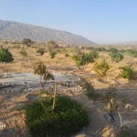 فروش باغ شهری محمودآباد میان جنگل فسا|فروش خانه و ویلا|فسا, |دیوار