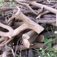 خرید ضایعات و چوب