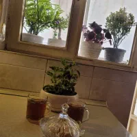 اجاره آپارتمان نقلی ۵۳ متری|اجارهٔ آپارتمان|تهران, نیروی دریایی|دیوار
