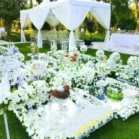 باغ و تالار تشریفات مجالس رابین (عقد عروسی تولد)|خدمات پذیرایی، مراسم|شیراز, تاچارا|دیوار