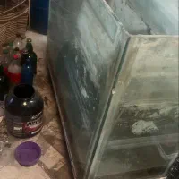 آکواریومع|ماهی|بابلسر, |دیوار