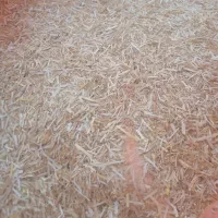 کاه گندم کوبیده خالص گندم ریزکوب