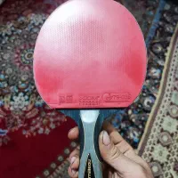 چوب راکت باترفلای ویسکاریا سوپر ،فریتاس ،تیموبول|ورزش‌های توپی|اصفهان, کساره|دیوار