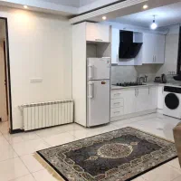 انقلاب شیک و فوق العاده تمیز وشیک و‌لوکس|اجارهٔ کوتاه‌مدت آپارتمان و سوئیت|تهران, فلسطین (میدان انقلاب)|دیوار