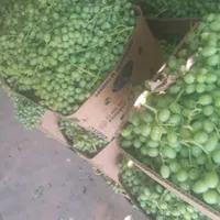 آبغوره درجه یک طبیعی|خوردنی و آشامیدنی|تهران, خلیج فارس|دیوار