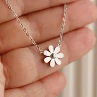 پلاک زنجیر|بدلیجات|اسفراین, |دیوار