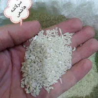 برنج سرلاشه گیلان|خوردنی و آشامیدنی|مشهد, رستگار|دیوار