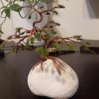 درخت سیم مسی